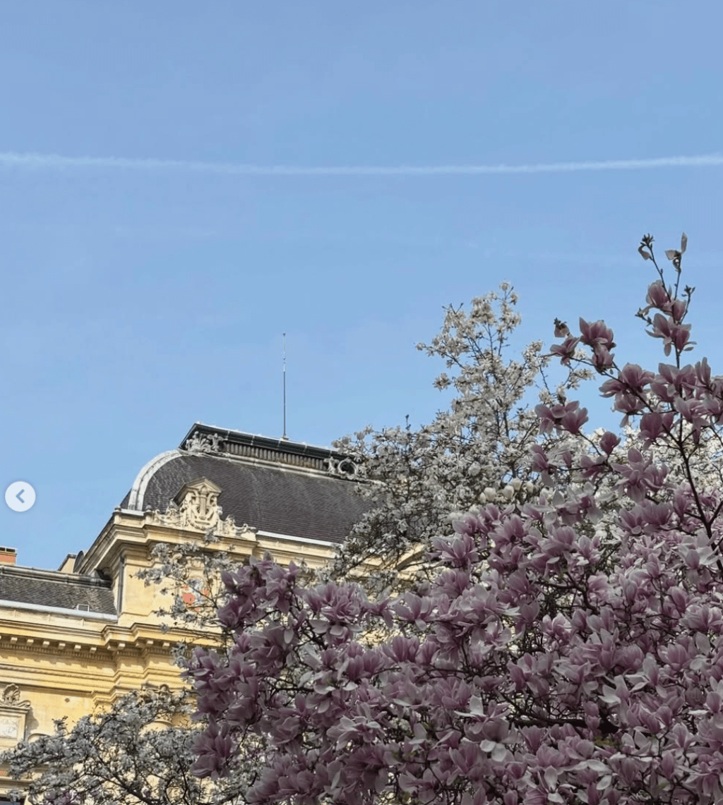 ciel printemps magnolia monuments ville